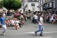 IMG_6501 (2) 
